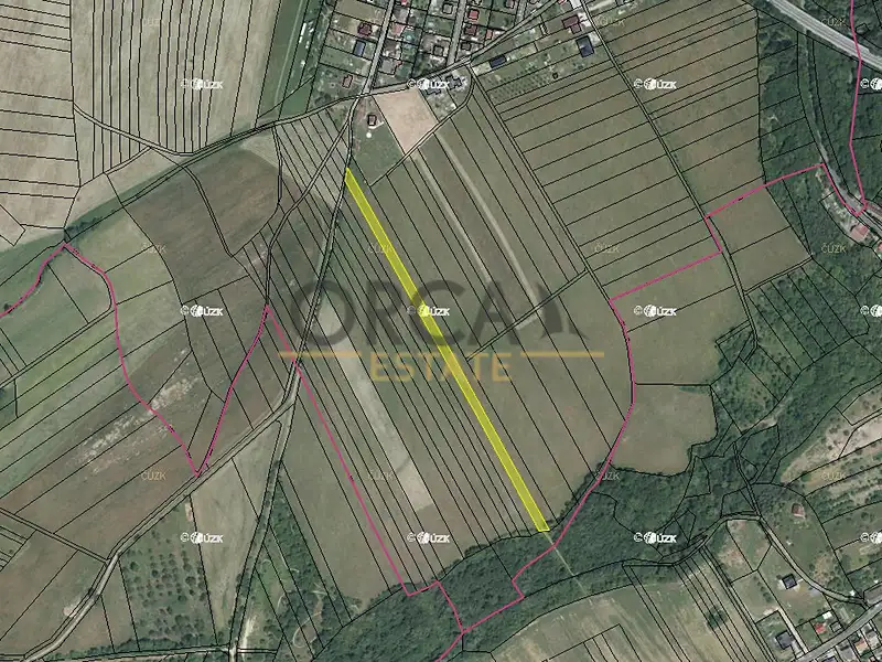 Prodej pole 4582 m², Dolní Újezd – náhled fotky 1