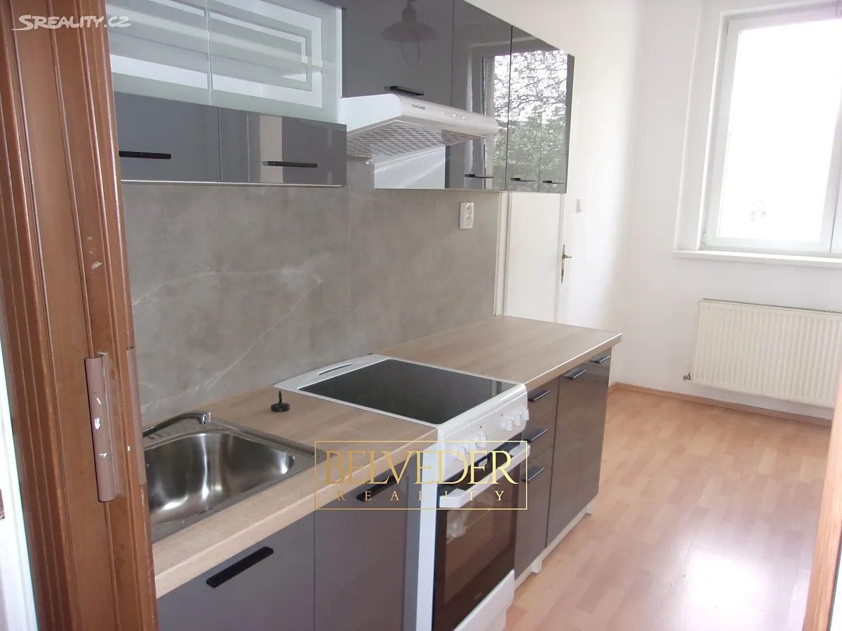 Pronájem bytu 2+1 70 m², Teplice
