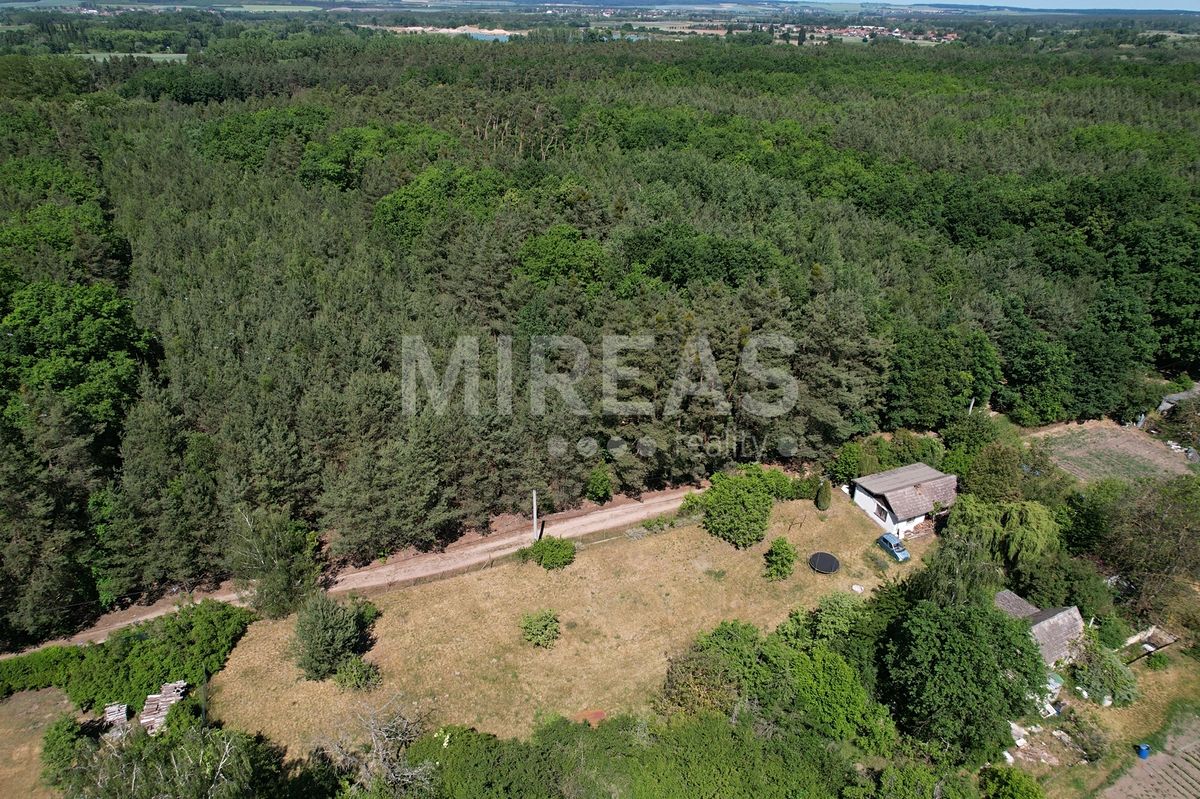 Pronájem zahrady 620 m² – fotografie 3