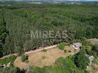 Grundstück zur Miete, 620 m² (3 von 5)