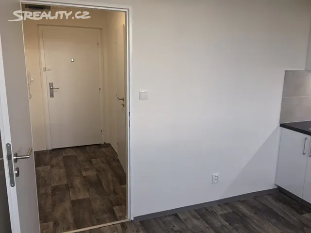 Pronájem bytu 1+1 36 m² - Widok 3