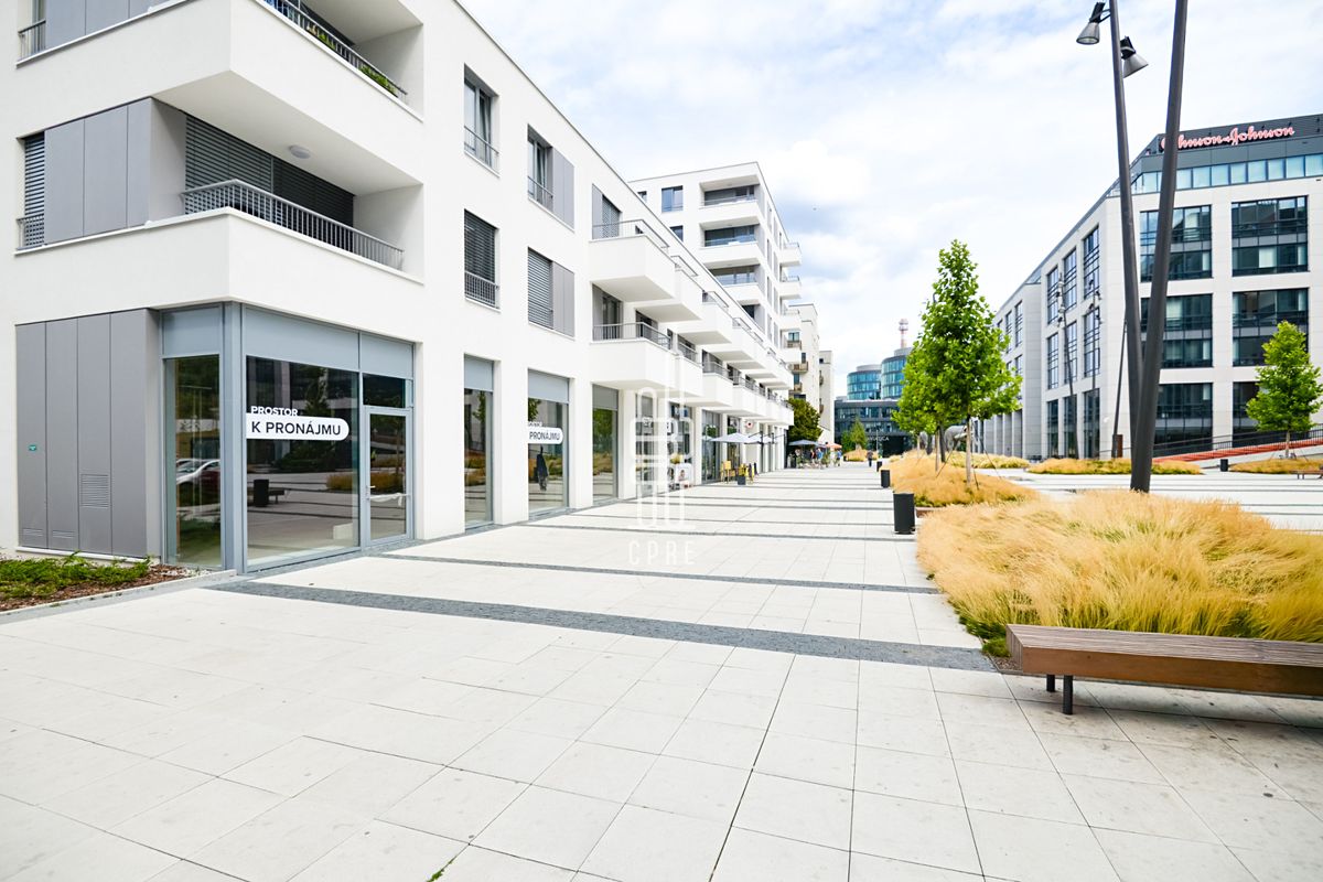 Pronájem obchodního prostoru 146 m² – fotografie 2