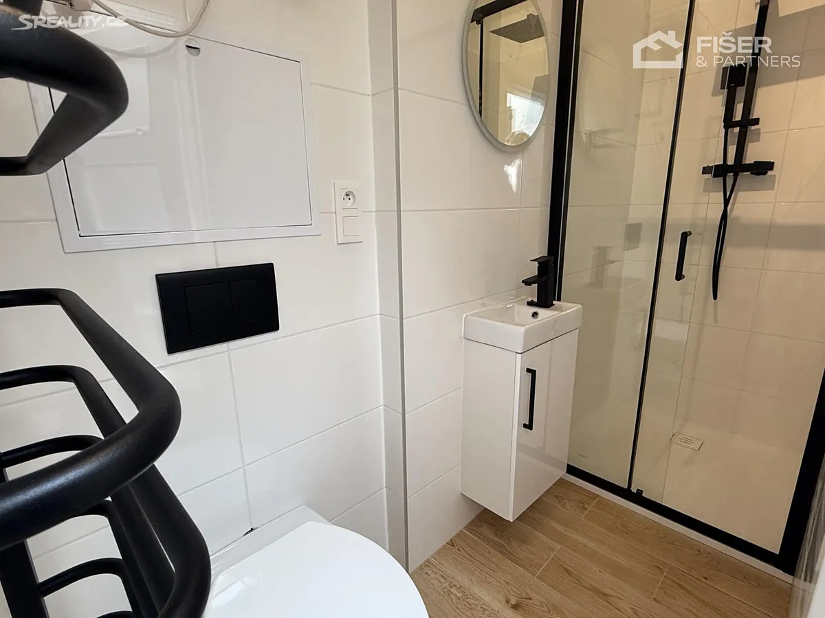 Pronájem bytu 1+kk 26 m² – pohled 5