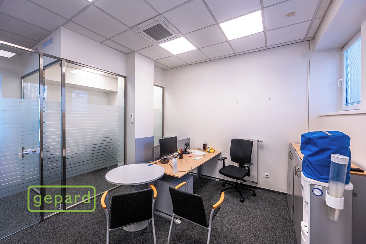 Pronájem obchodního prostoru 252 m² – fotografie 4
