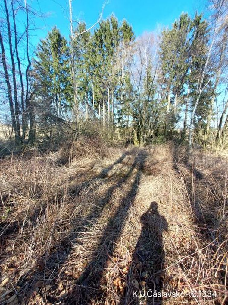 Prodej lesa 1359 m² – fotografie 2