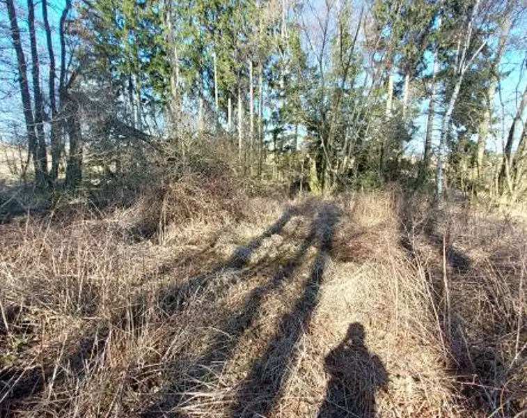 Prodej lesa 1359 m², Čáslavsko – náhled fotky 2