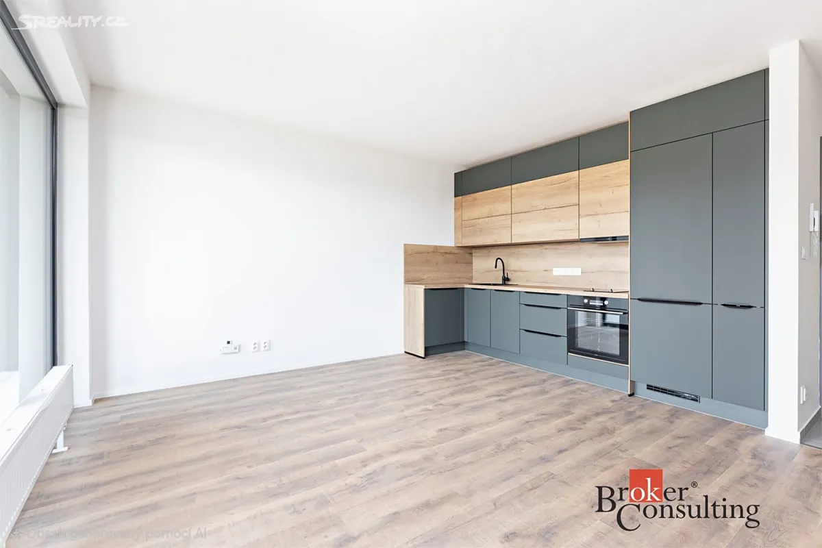 Pronájem bytu 1+kk 35 m², Plzeň
