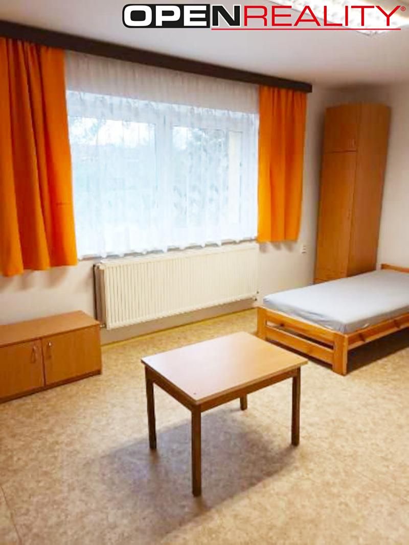 Pronájem bytu 1+1 30 m² – fotografie 5