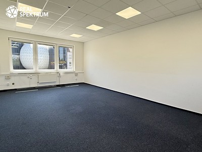 Pronájem kanceláře 258 m²