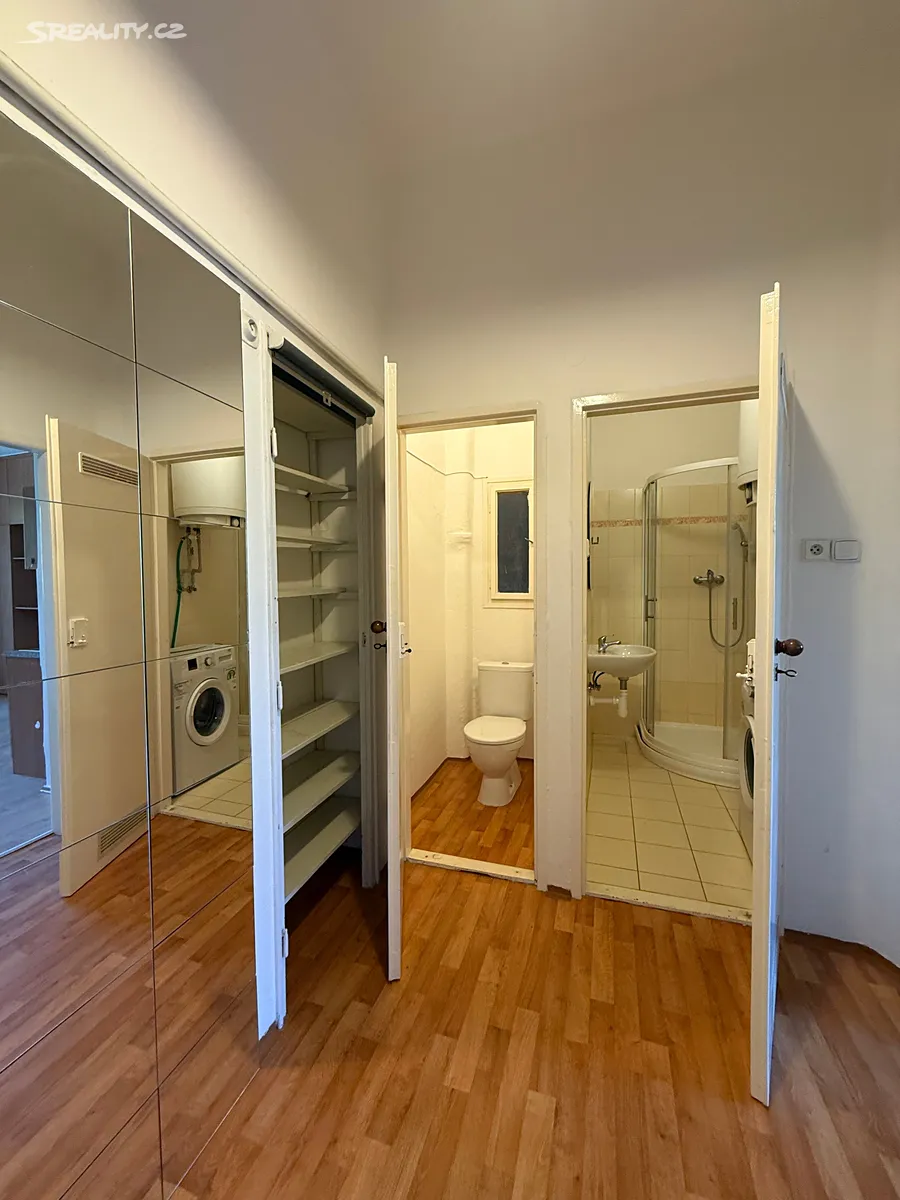 Pronájem bytu 1+kk 30 m² – pohled 5