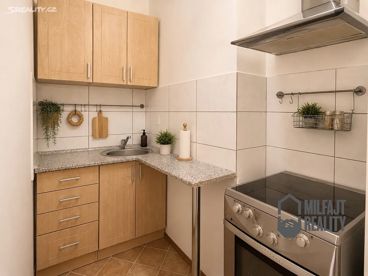 Pronájem bytu 1+kk 29 m², Liberec