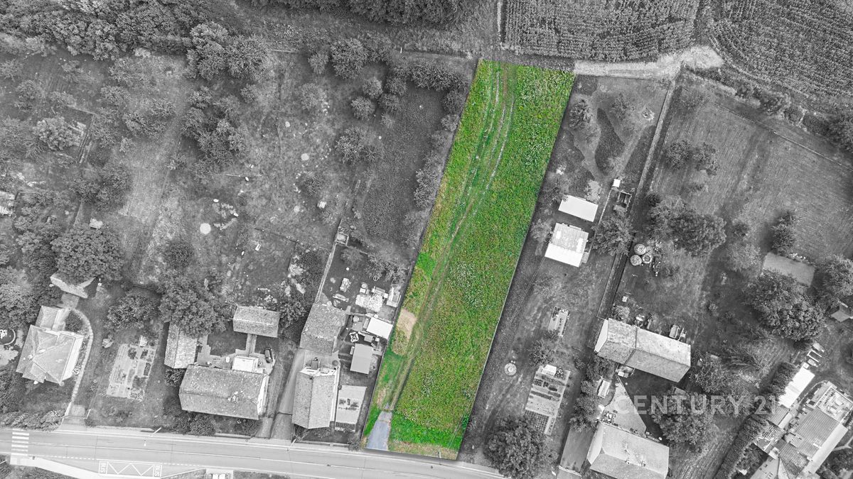 Prodej stavebního pozemku 1203 m² – fotografie 3