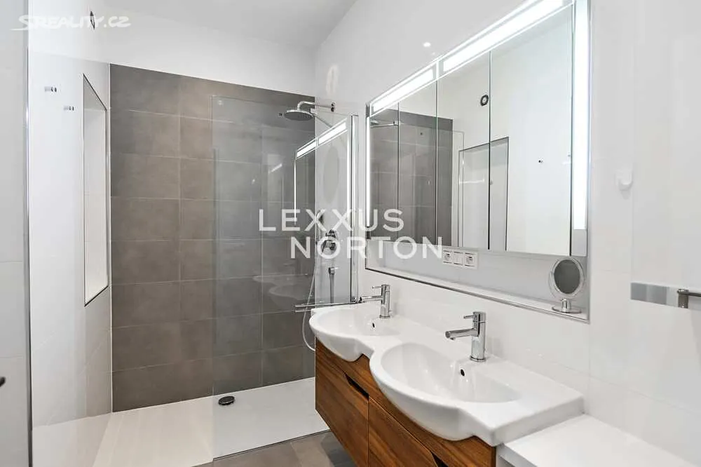 Pronájem bytu 2+1 79 m² – pohled 4