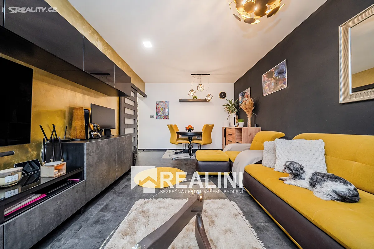 Pronájem bytu 2+1 56 m² – pohled 2