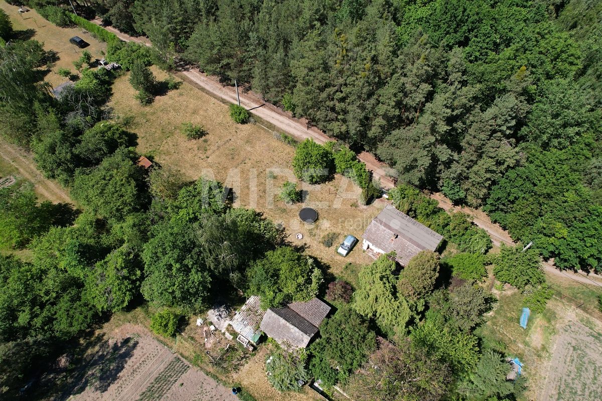 Pronájem zahrady 620 m² – fotografie 4