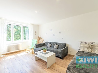 Pronájem bytu 1+1 36 m²