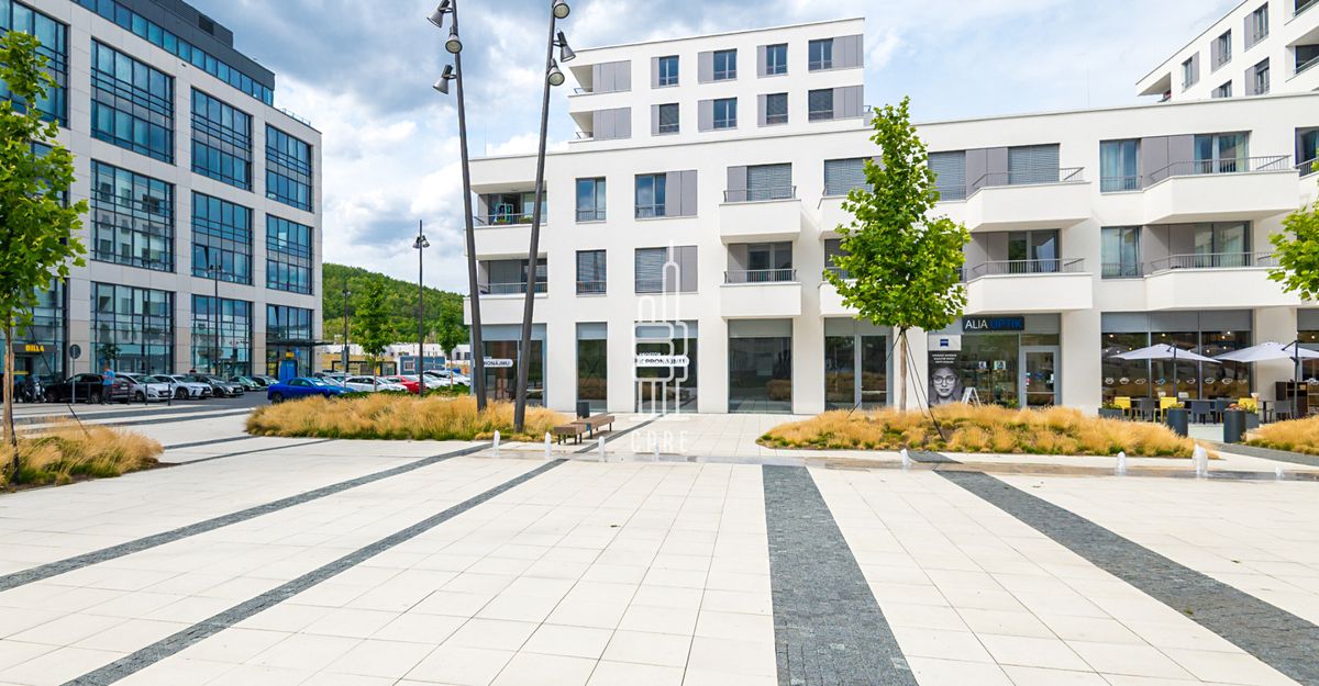Pronájem obchodního prostoru 146 m² – fotografie 4