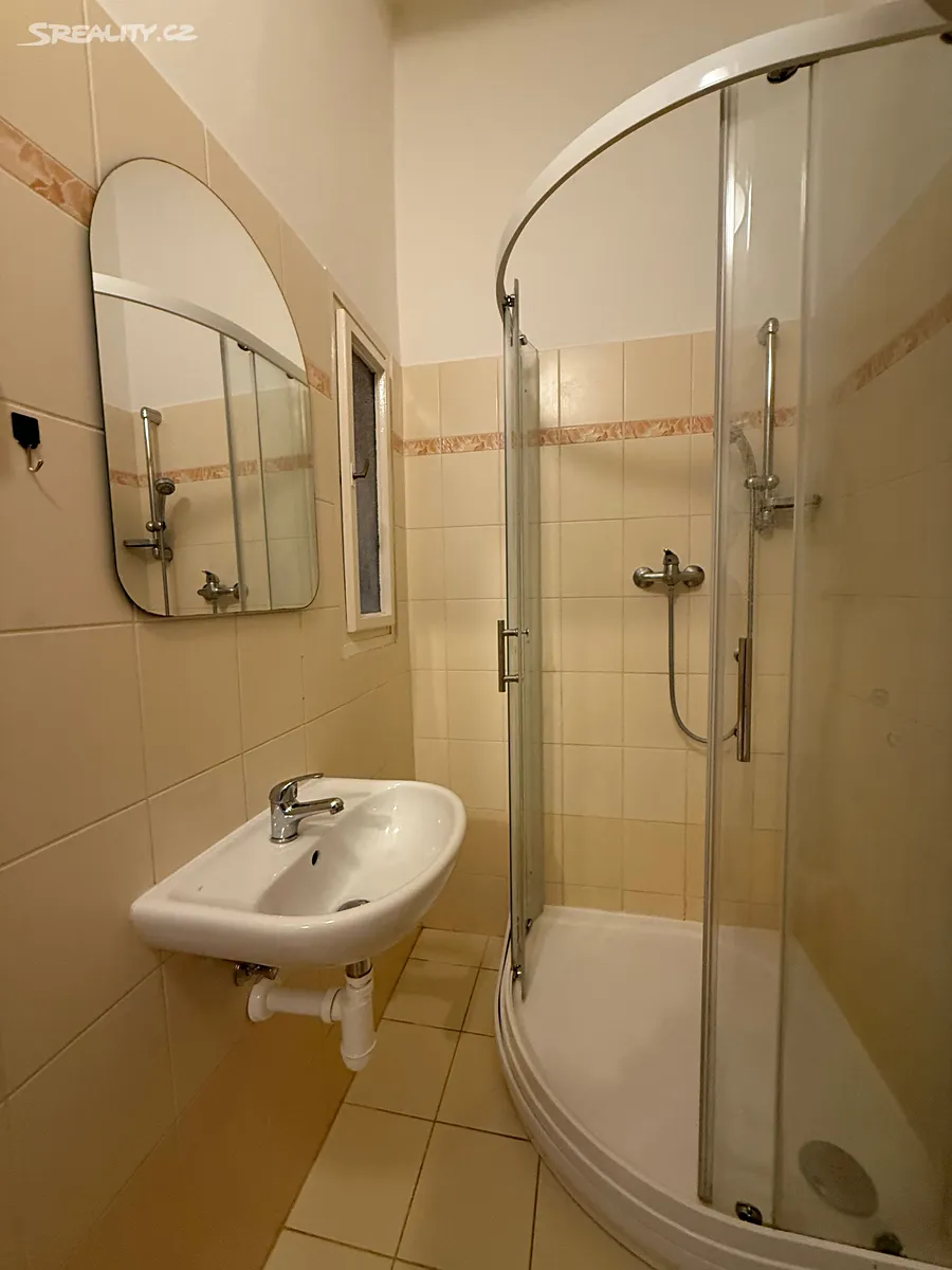 Pronájem bytu 1+kk 30 m² – pohled 4