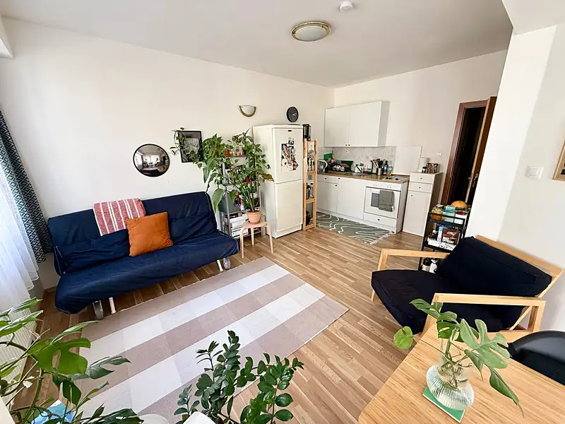 Prodej bytu 2+kk 50 m², Praha – náhled fotky 2