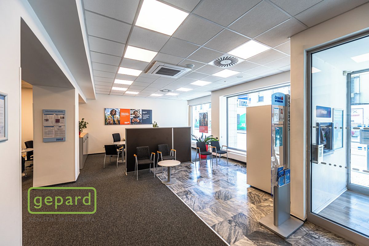 Pronájem obchodního prostoru 252 m² – fotografie 3