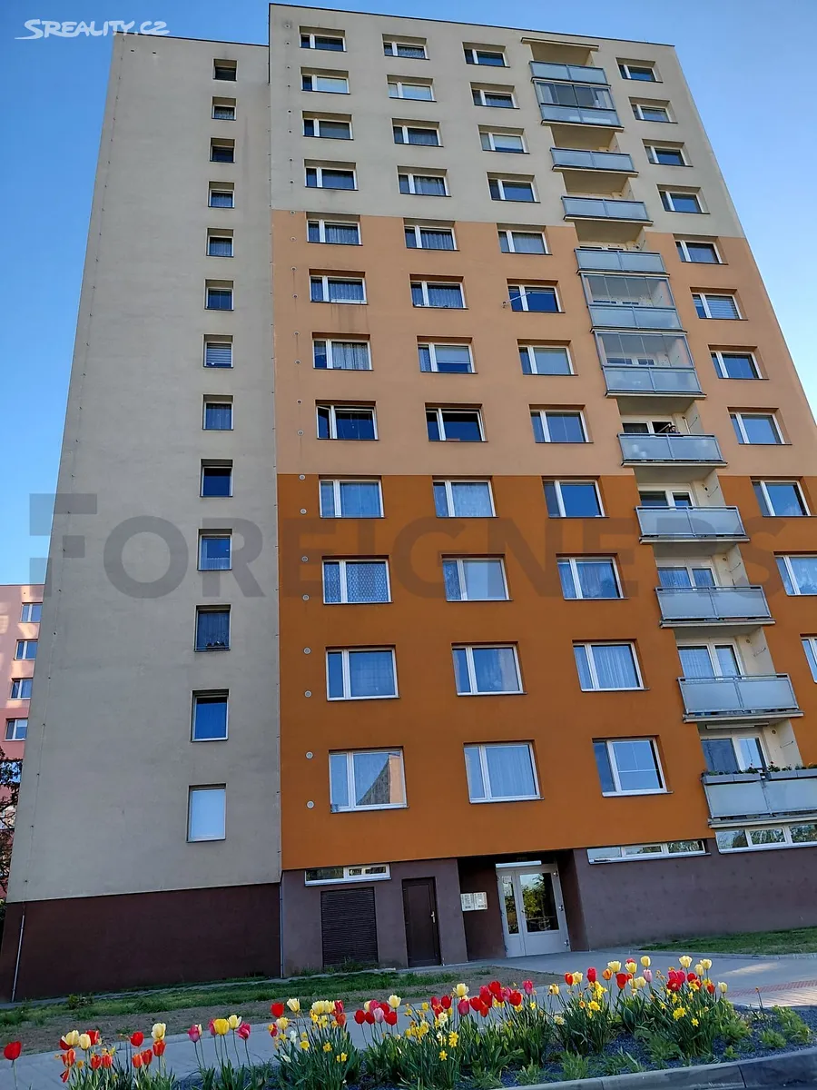 Pronájem bytu 3+1 68 m² – další