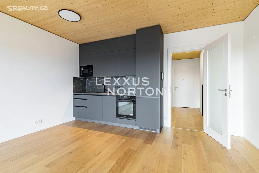 Pronájem bytu 1+kk 41 m², Praha