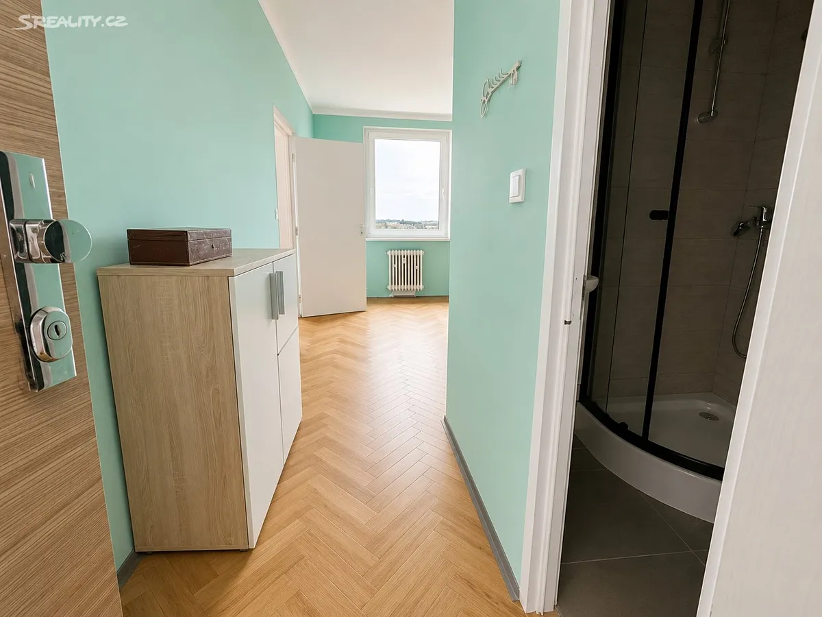 Pronájem bytu 1+1 37 m² – další
