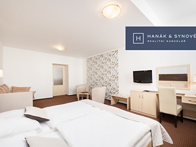 Pronájem bytu 1+1 43 m²