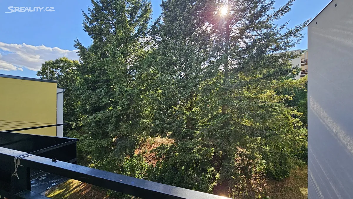 Prodej bytu 2+1 50 m² – pohled 4