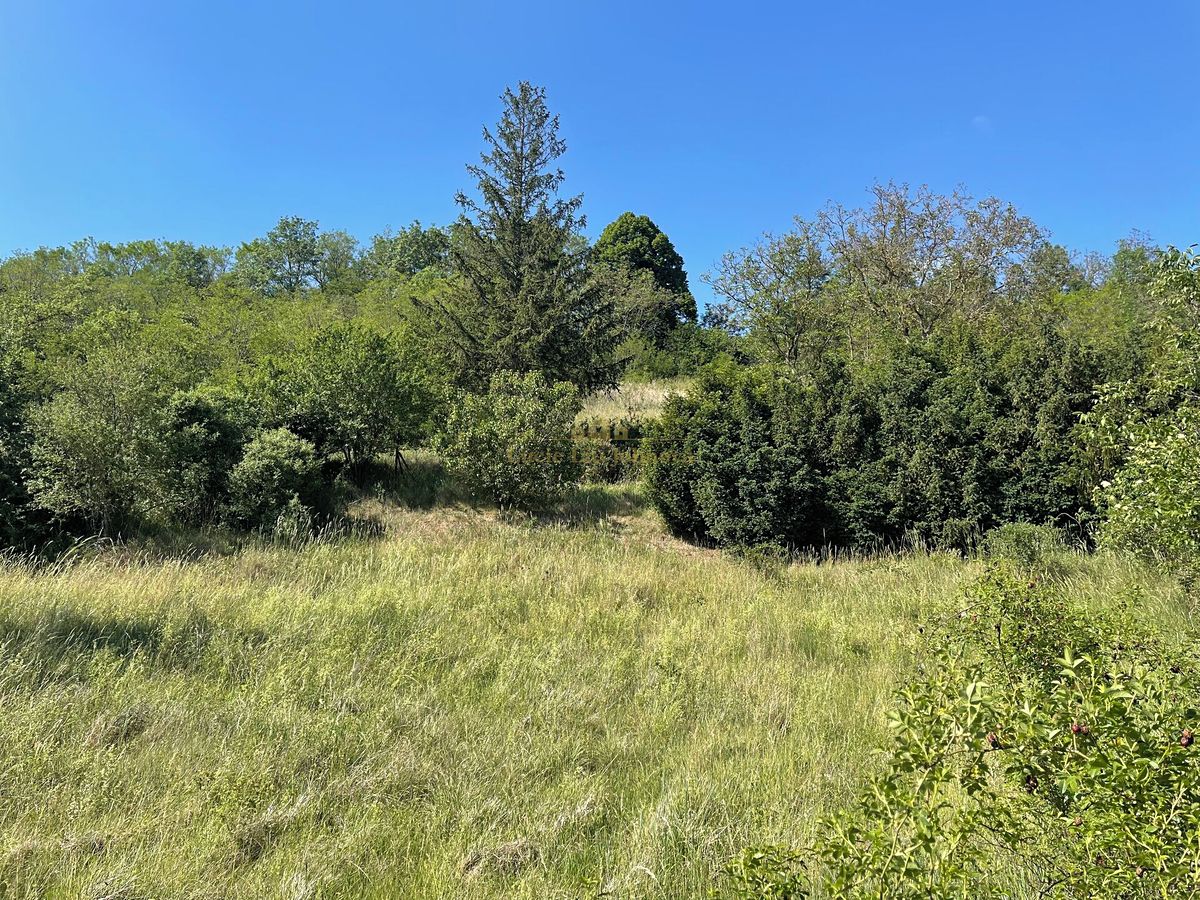 Prodej zahrady 2559 m², Nová Ves – fotka 1 z 3