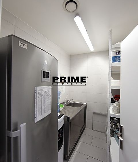 Pronájem komerčního prostoru, 225 m² (30 z 39)