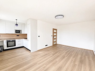 Pronájem bytu 1+kk 42 m²