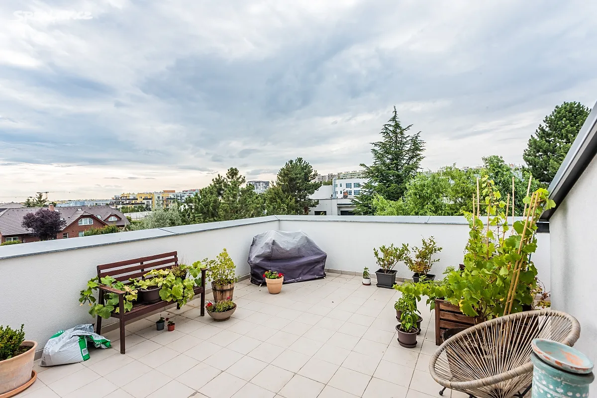 Pronájem bytu 1+kk 63 m², Praha