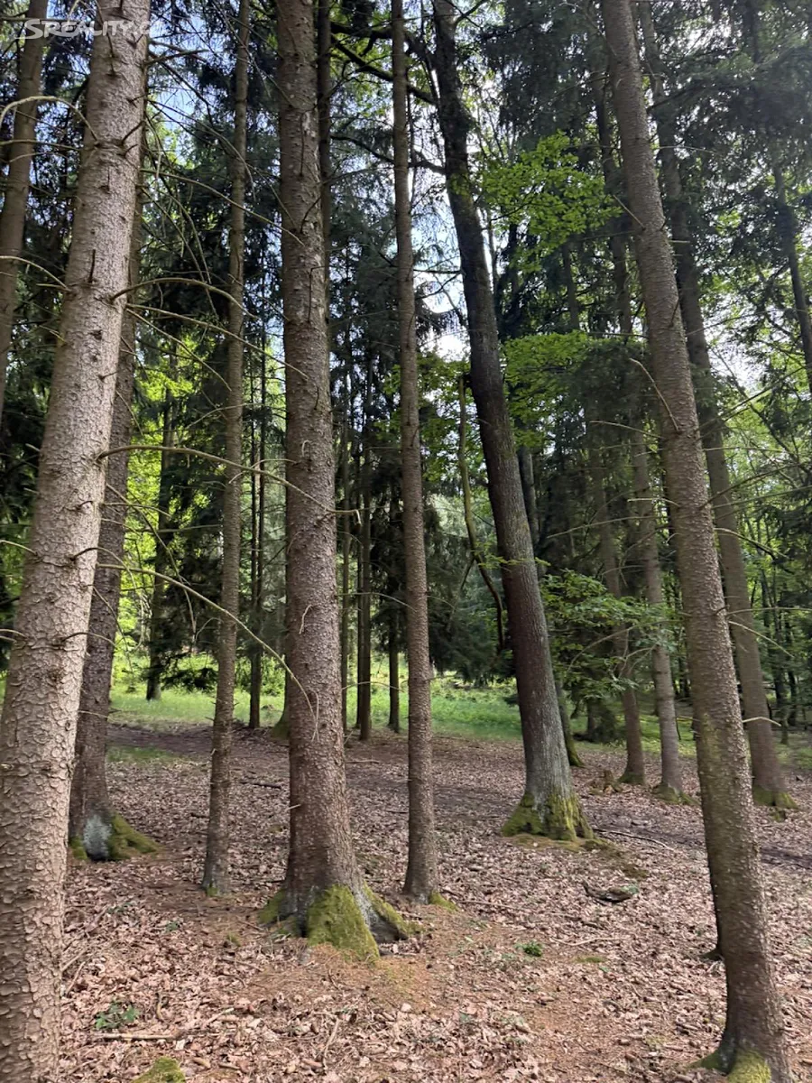 Prodej lesa 4597 m², Hradiště