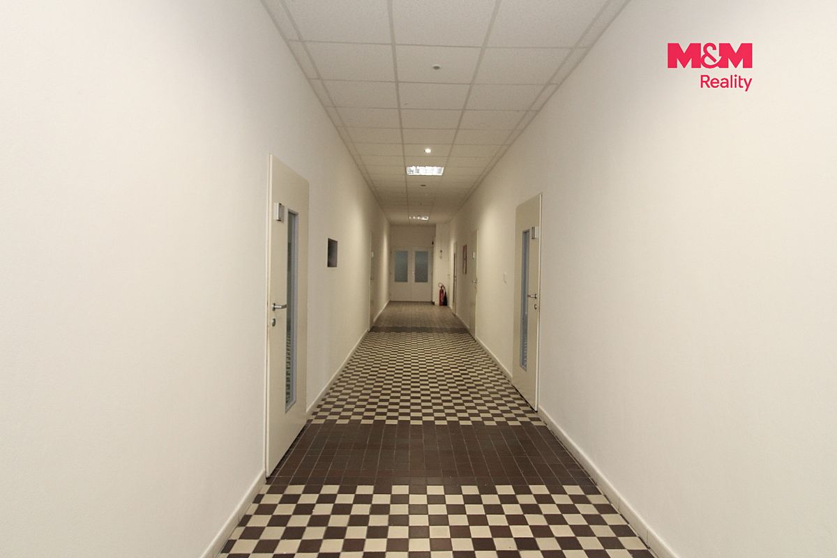 Pronájem kanceláře 215 m² – fotografie 4