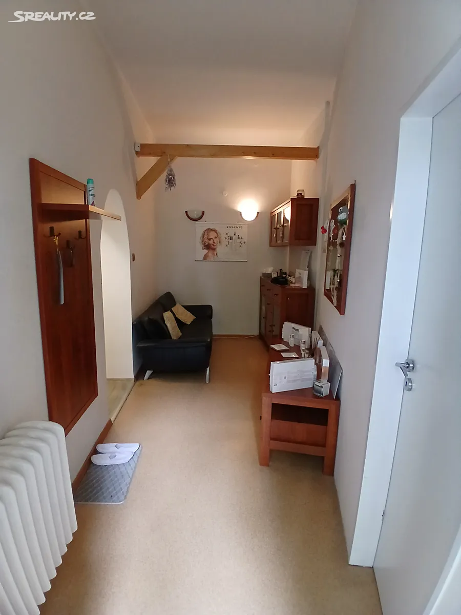 Prodej obchodního prostoru 40 m² – pohled 3