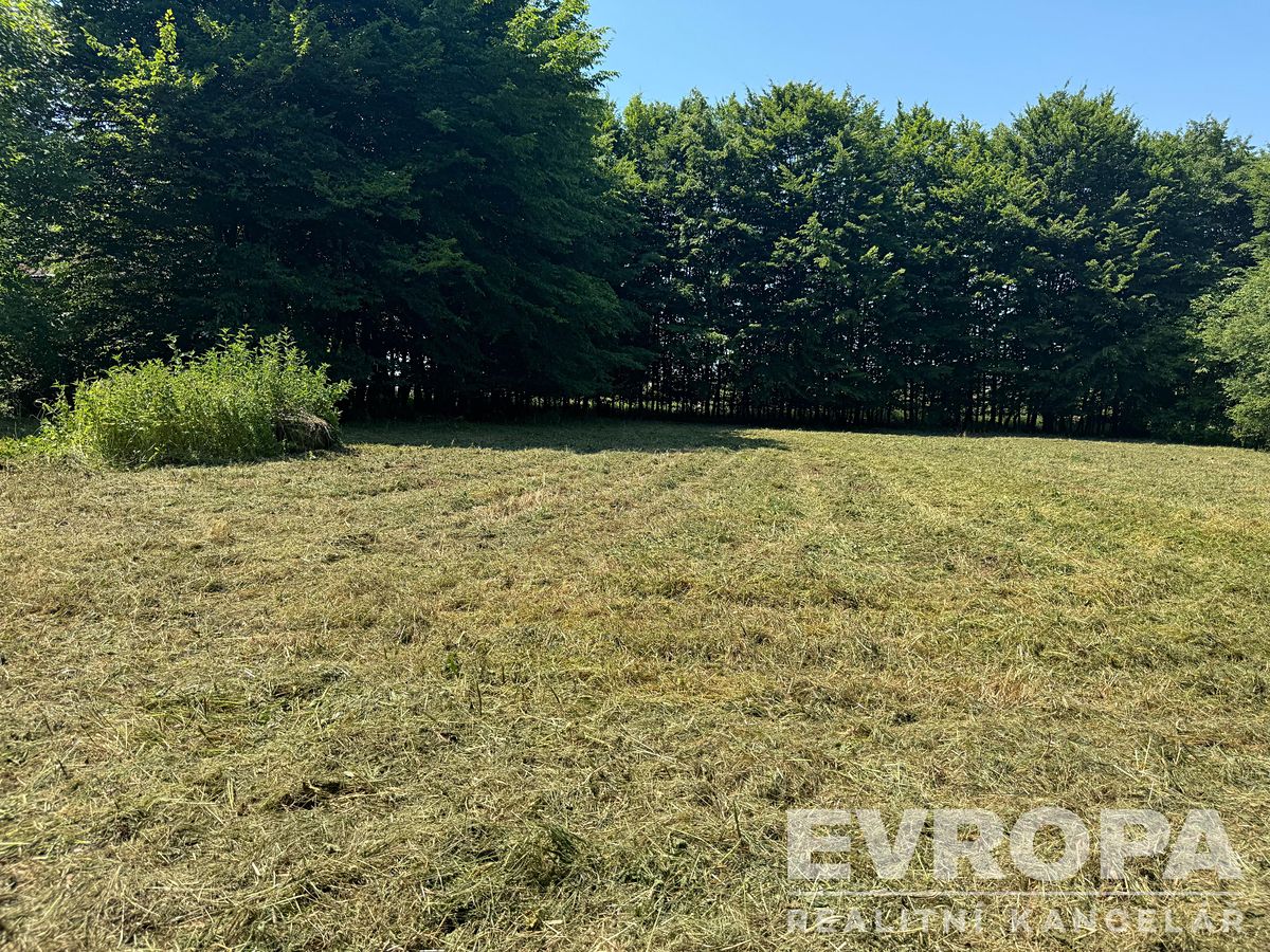 Prodej stavebního pozemku 1614 m² – fotografie 5
