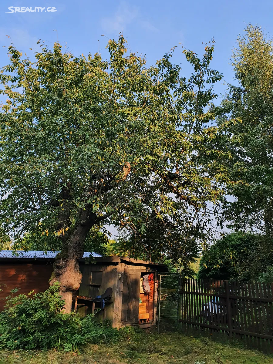Prodej zahrady 533 m², Hroznětín
