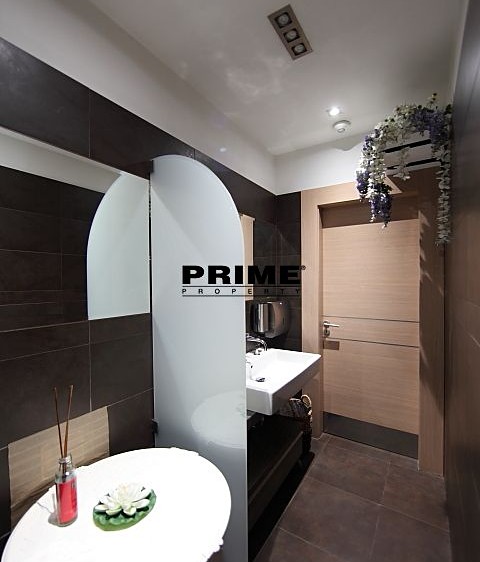 Pronájem komerčního prostoru, 225 m² (16 z 39)