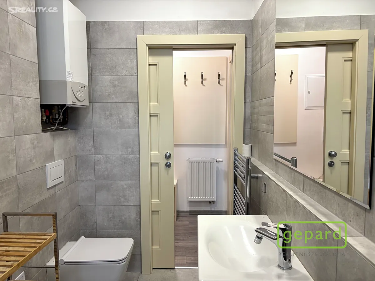 Pronájem bytu 2+1 60 m² - Widok 5