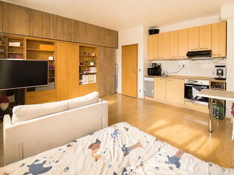 Prodej bytu 1+kk 31 m², Praha – náhled fotky 3