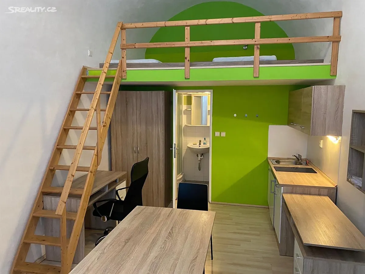Pronájem bytu 1+kk 20 m², Brno