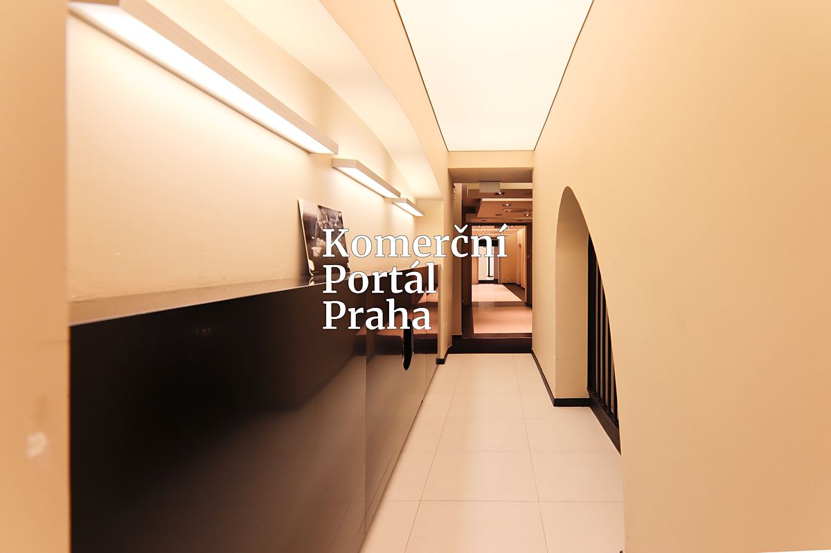 Pronájem obchodního prostoru 367 m² – fotografie 4
