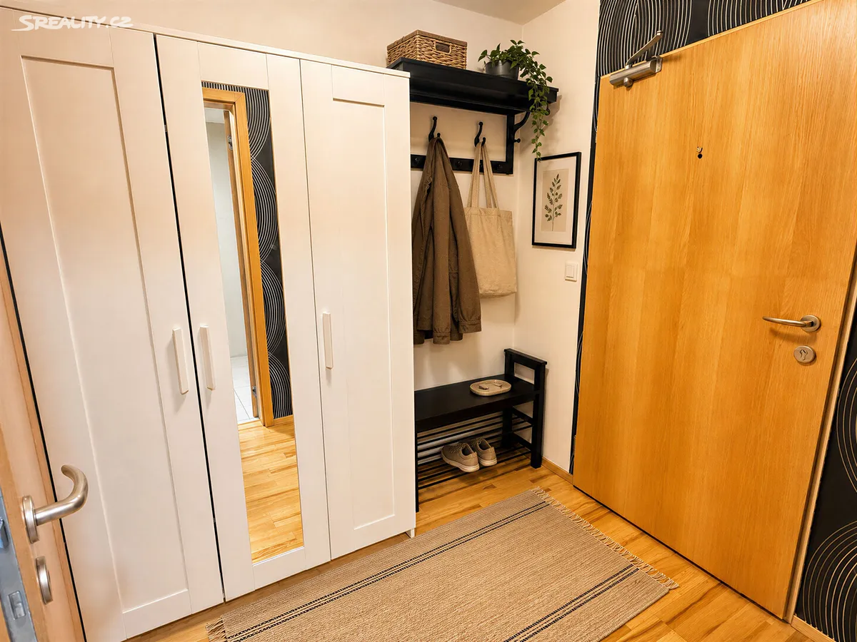 Pronájem bytu 1+kk 45 m² – pohled 5