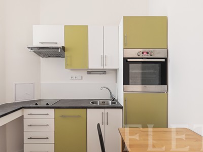 Pronájem bytu 1+1 45 m²