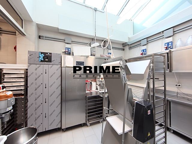 Pronájem komerčního prostoru, 225 m² (25 z 39)