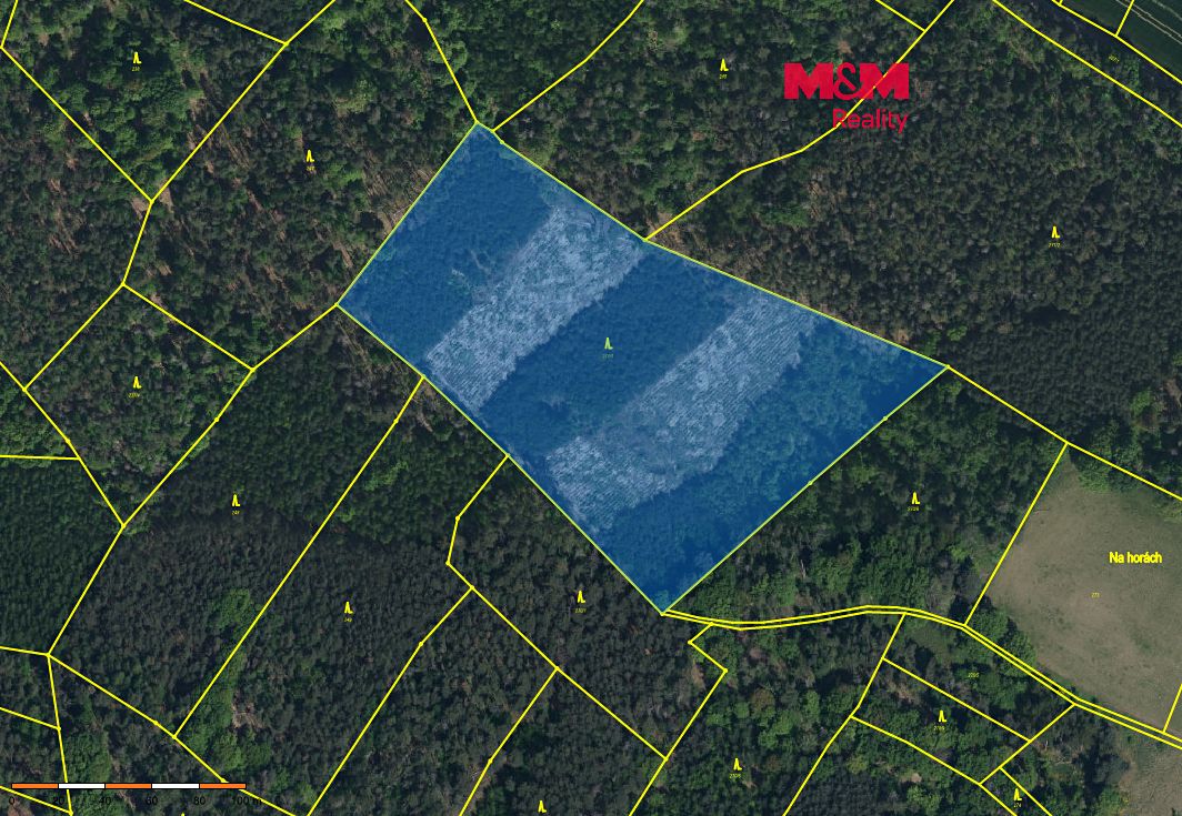 Prodej lesa 24923 m²