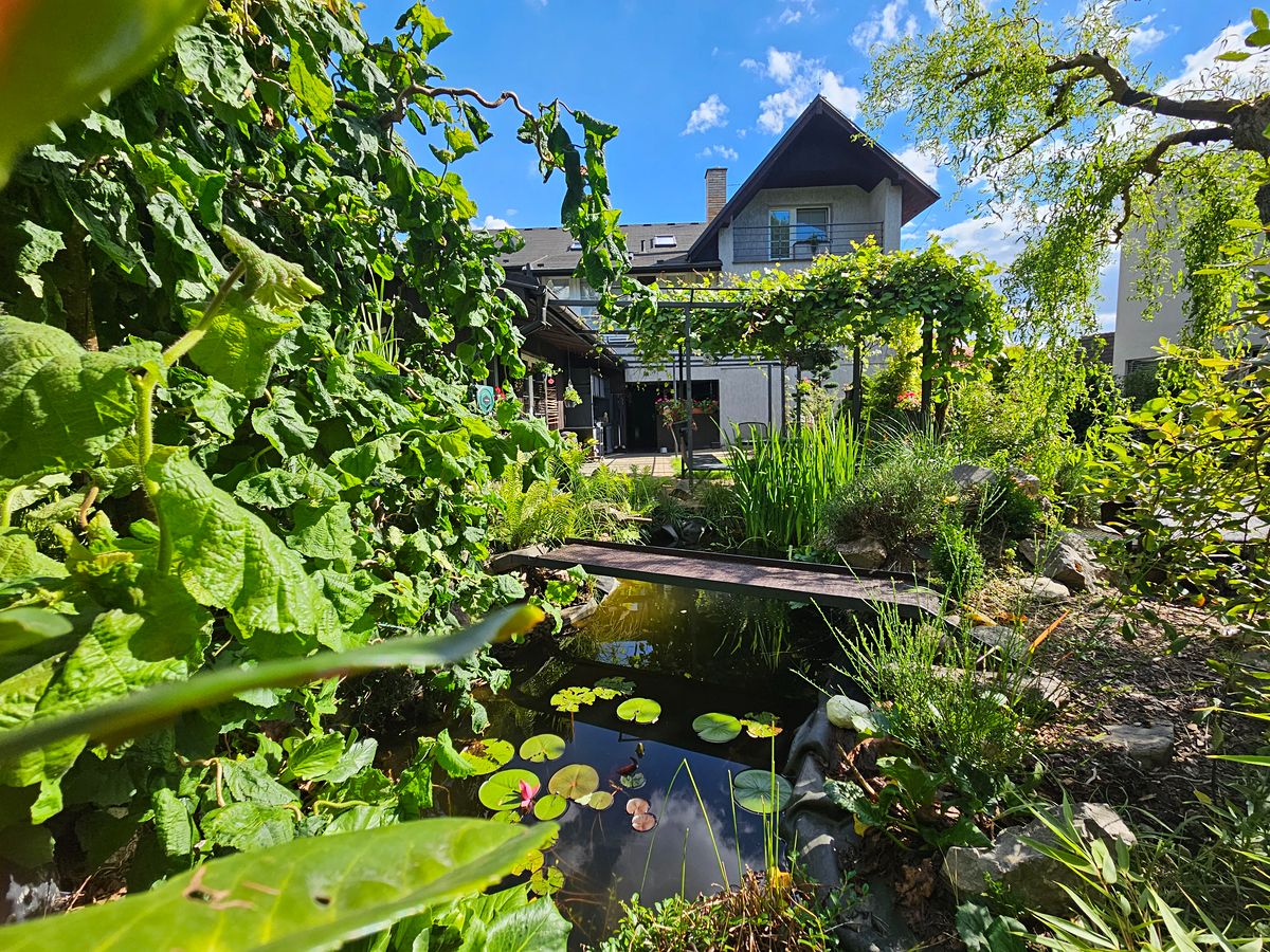 Prodej rodinného domu 280 m², pozemek 939 m² – fotografie 2