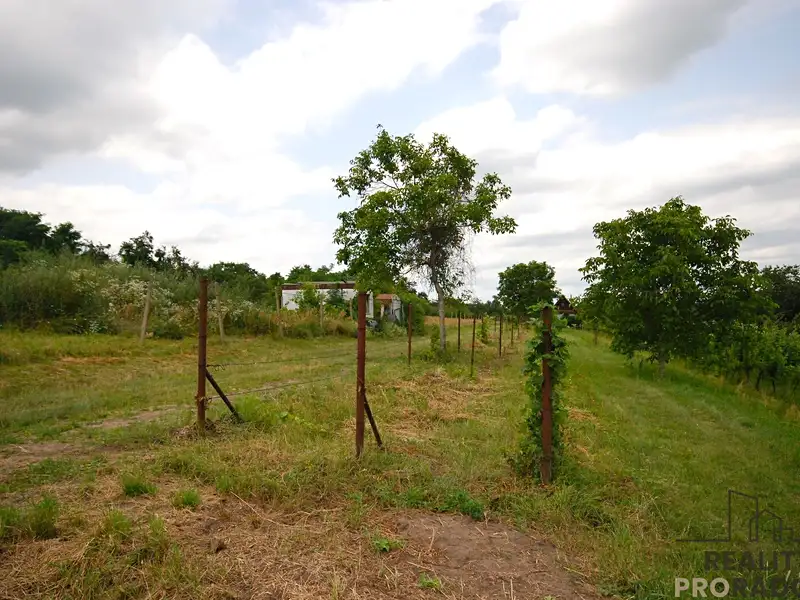 Prodej vinného sklepa 15 m², Břeclav – náhled fotky 3