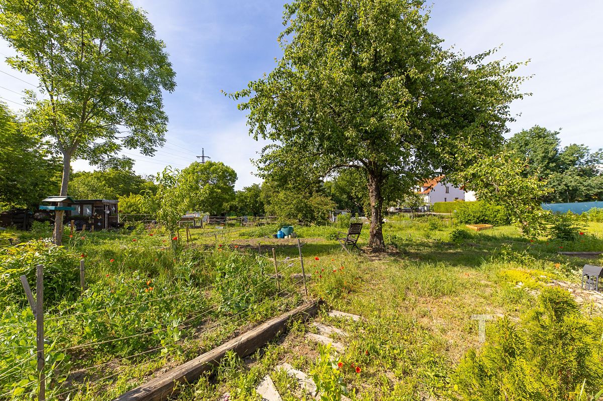 Prodej pozemku 1600 m² – fotografie 3